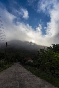 沥青 冒险 森林 暴风雨 领域 日出 乡村 旅行 旅游业