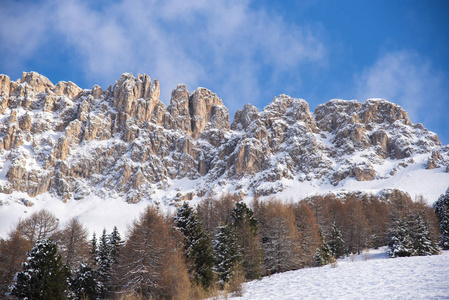 意大利 天空 森林 旅行 阿尔卑斯山 假期 美丽的 滑雪