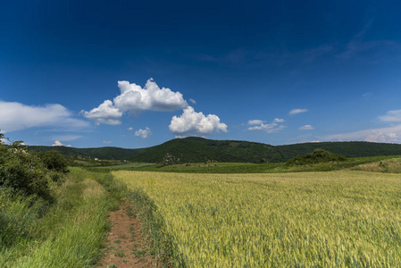 国家 春天 小山 环境 木材 自然 草地 乡村 夏天 天空