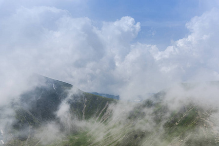 森林 日出 全景图 美丽的 旅游业 高的 自然 夏天 露营