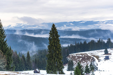 风景 天空 自然 森林 寒冷的 阿尔卑斯山 冬天 木材 季节