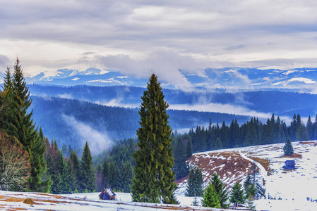 季节 天空 木材 旅游业 风景 冬天 森林 自然 加拿大