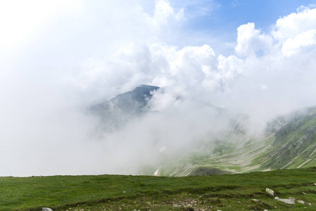 阿尔泰 夏天 全景图 自然 小山 旅行 旅游业 徒步旅行