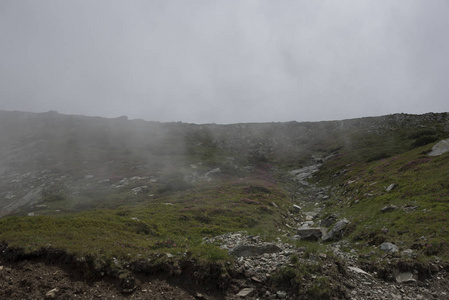 间歇泉 天空 小山 夏天 森林 欧洲 风景 挪威 旅行 自然