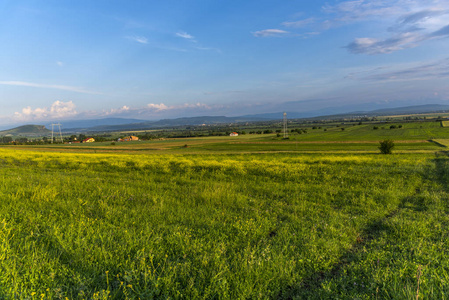 夏天 小山 环境 美丽的 天空 农场 农业 旅行 风景 土地