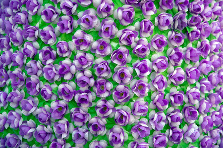 Background and texture of purple Artificial flowers. 