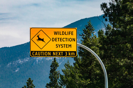 鹿过马路警告标志图片