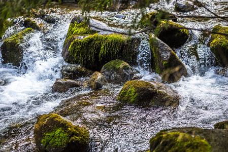 巡航 小溪 流动的 自然 流动 春天 夏天 岩石 风景 美女