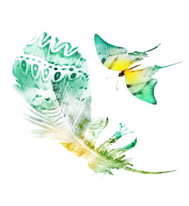 纹理 签名 插图 水彩 艺术 素描 收集 自然 轮廓 羽毛