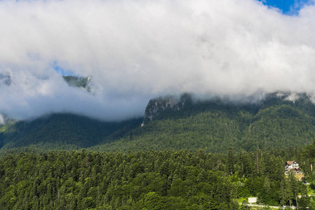 美丽的 木材 天空 旅游业 小山 暴风雨 山谷 风景 环境