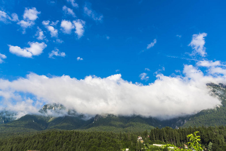 小山 美女 天空 场景 森林 旅行 环境 夏天 高的 旅游业