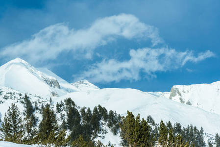 冬季景观山林雪图片