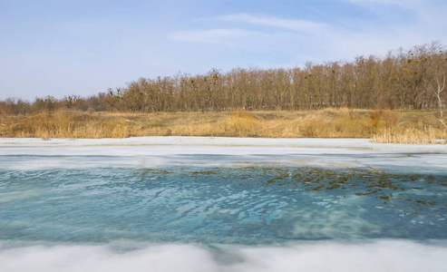 自然 场景 寒冷的 季节 放松 环境 森林 水库 公园 林间空地