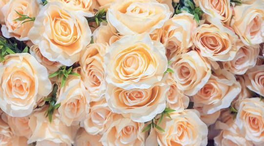 自然 浪漫的 婚礼 美丽的 生日 植物学 墙纸 盛开 美女