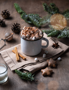  cup of cocoa and marshmallow with gingerbread and cinnamon 