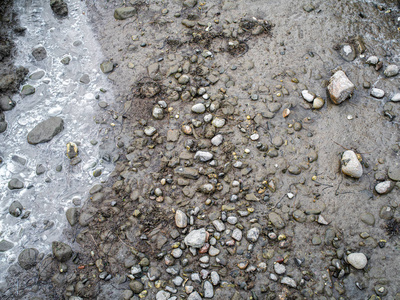 低潮时干涸的有咸水的河床照片