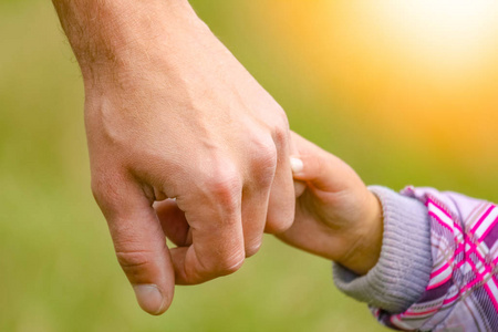 在公园里,手牵着快乐的父母和孩子照片