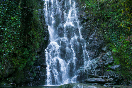 米尔维蒂瀑布位于佐治亚州巴统森林户外