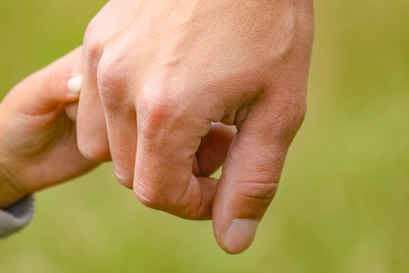 在公园里,手牵着快乐的父母和孩子照片