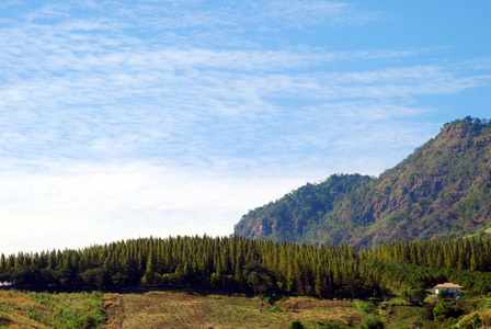 风景 颜色 乡村 旅游业 夏天 美丽的 环境 季节 自然