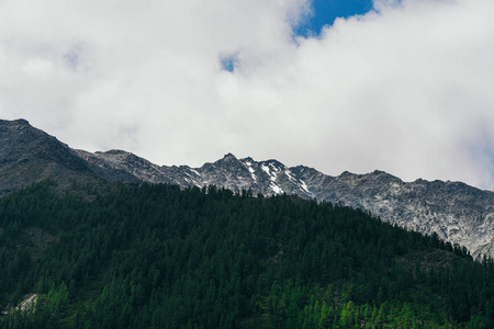 夏天 山谷 小山 悬崖 风景 自然 徒步旅行 高的 阿尔卑斯山
