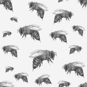 插图 时尚 秋天 艺术 纹身 动物 涂鸦 飞行 要素 蜜蜂