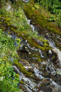 徒步旅行 小山 夏天 自然 瀑布 美丽的 流动 全景图 美女