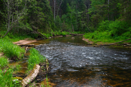 美女 环境 小溪 流动 瀑布 岩石 自然 木材 公园 流动的