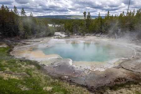 Emerald Spring at hot volcanic pool in Yellowstone 