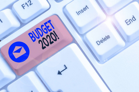 显示2020年预算的文本标志。对下一年或本年度收支的概念图估计。