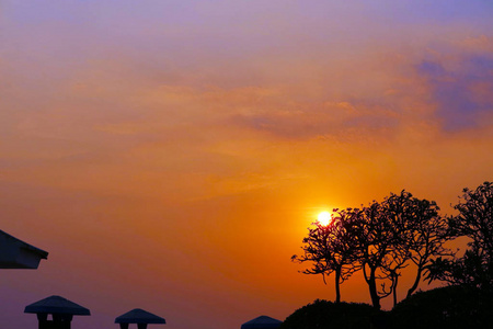 夕阳下火红橙黄的天空倒影树图片