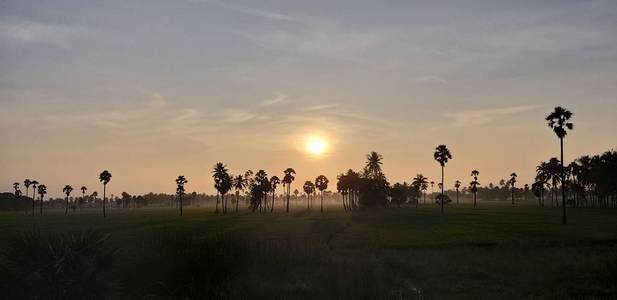 地平线 美丽的 轮廓 全景图 傍晚 风景 旅行 日出 日落