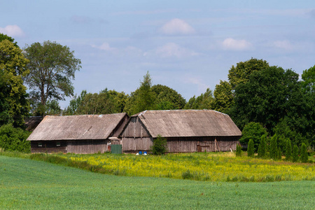 夏天 木材 风景 屋顶 欧洲 农舍 领域 国家 古老的 乡村