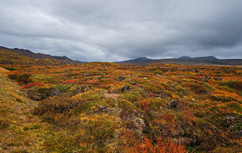 冰岛的火山区。地点欧洲冰岛北部，米瓦顿地区，赫维尔地热区。2019年9月