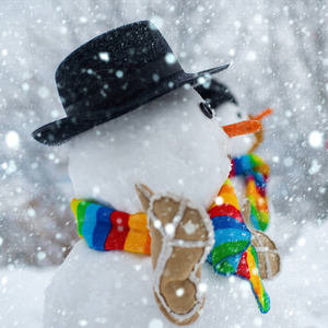 快乐的雪人站在冬季的圣诞景观中。雪人戴着毛皮帽子和围巾。圣诞快乐，新年快乐。雪人。