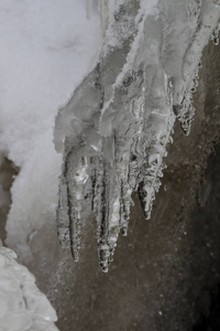 寒冷的 冷冰冰的 冰冷的 季节 旅行 天气 风景 岩石 冻结