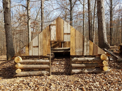 森林中的木屋或木屋或结构