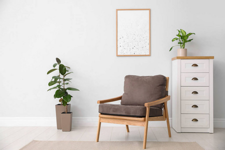 照片 房间 公寓 扶手椅 成长 房子 植物学 自然 内阁