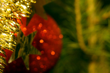 小玩意 庆祝 松木 冷杉 冬天 圣诞节 新的 特写镜头 分支