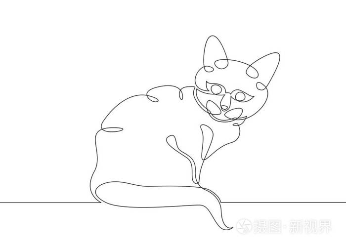 猫小猫动物照片-正版商用图片26tkl7-摄图新视界