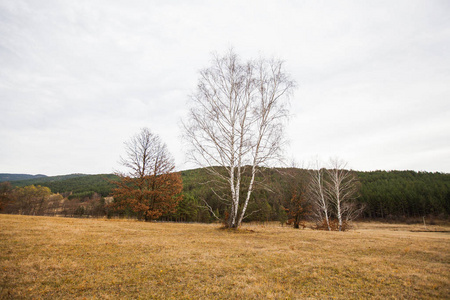 Beautiful nature landscape Autumn season 