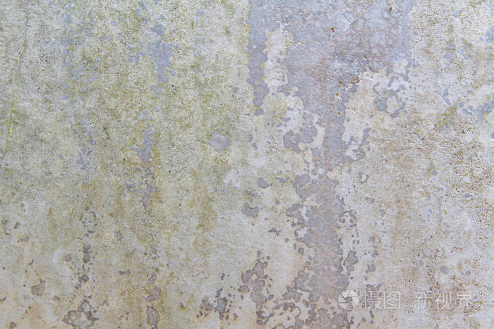 以旧灰水泥地面为背景