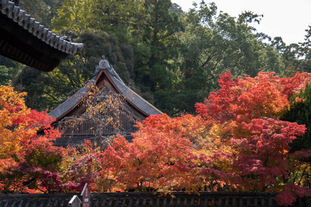 建筑学 南禅寺 关西 日本 地标 森林 风景 颜色 美丽的