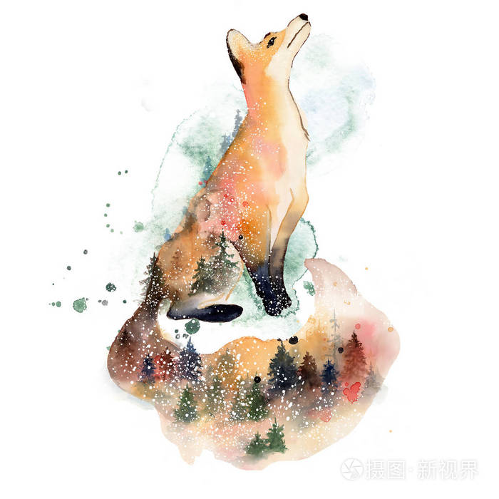 白色背景上隔离的具有双重曝光效果的动物插图的水彩狐狸 照片 正版商用图片26tz0k 摄图新视界