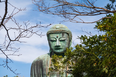 圣地 文化 佛教 东京 风景 旅游业 寺庙 偶像 日本 宗教