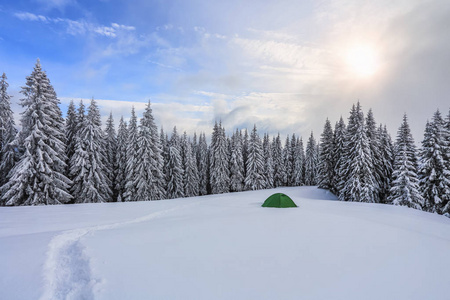 寒冷的冬日里令人惊叹的景色。在草坪上的森林里，绿色的旅游帐篷矗立着，通往它的小路很宽。美丽的雪山森林。墙纸背景。