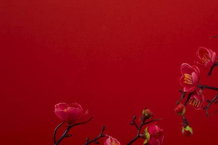 红底梅花照片