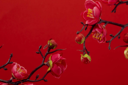 红底梅花中国农历新年的设计理念-美丽的中国结与梅花孤立在红色背景