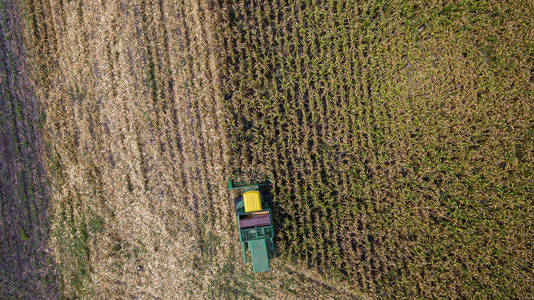 农学 农场 玉米 收割 土地 场景 国家 乡村 工作 秋天
