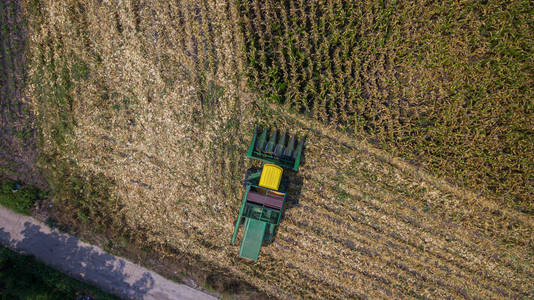 落下 植物 土地 黑麦 成长 场景 小麦 甜的 乡村 加拿大